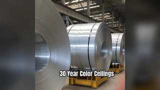 Trwałe aluminiowe płyty sufitowe 30-letni kolor