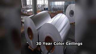 Trwałe aluminiowe płyty sufitowe 30-letni kolor