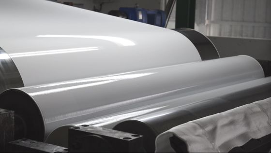 Stop 3005 Biały kolor 0,60 mm grubość 1250 mm szeroka biała barwa powłoka aluminium do prania i suszarek